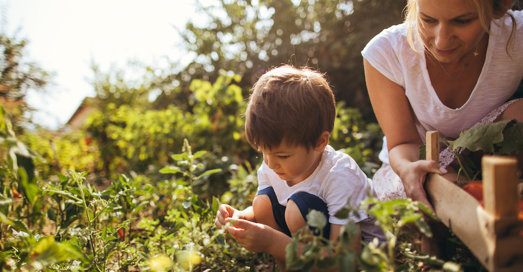 Lessons From Spring Image 7 Soul-Stirring Lessons We Can Learn from Spring | The Music Mom ...